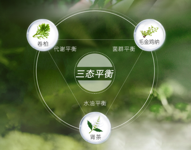 舒霖頭皮“三態平衡”理念成為中國頭皮護理行業標桿，引領生態恢復新紀元